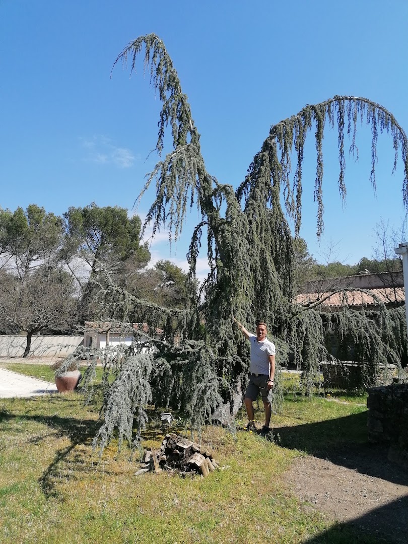Dufresne Jessy multiservices — Photos 12